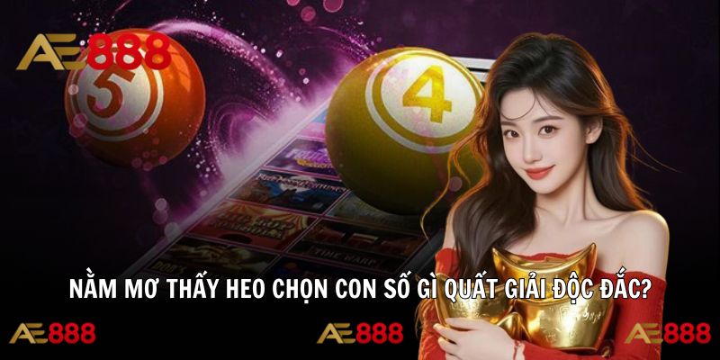 Heo xuất hiện trong mơ thường gợi ra số may mắn