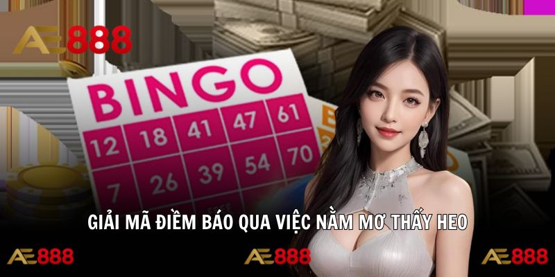 Nằm mơ về heo mang ý nghĩa vận mệnh riêng