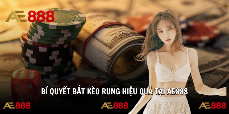 Chiến thuật nâng cao tỷ lệ thắng khi áp dụng bí quyết bắt kèo rung