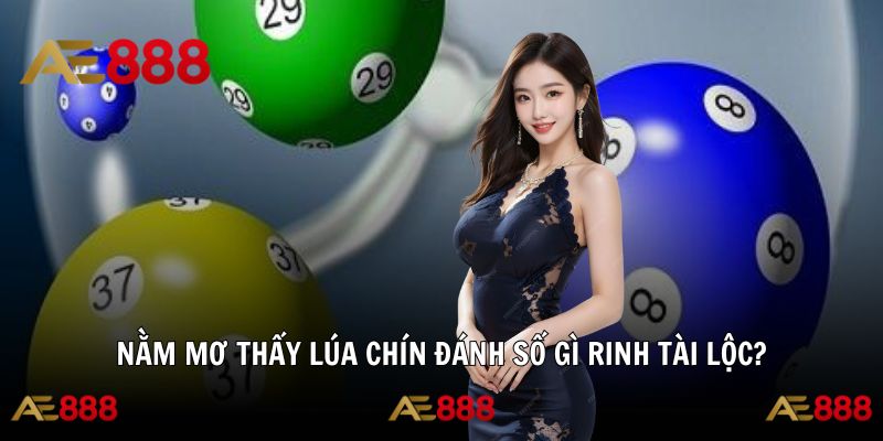 Bắt trọn con giải thưởng khi nằm mơ thấy lúa chín đánh số gì