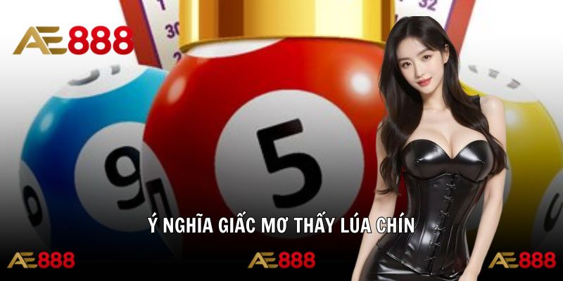 Giấc mơ lúa chín hé lộ thông điệp may mắn bất ngờ